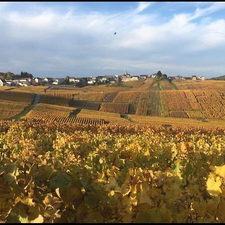 Gite En Champagne Le Sarment Cramant Kültér fotó