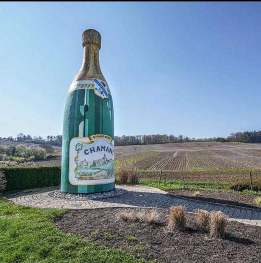 Gite En Champagne Le Sarment Cramant Kültér fotó