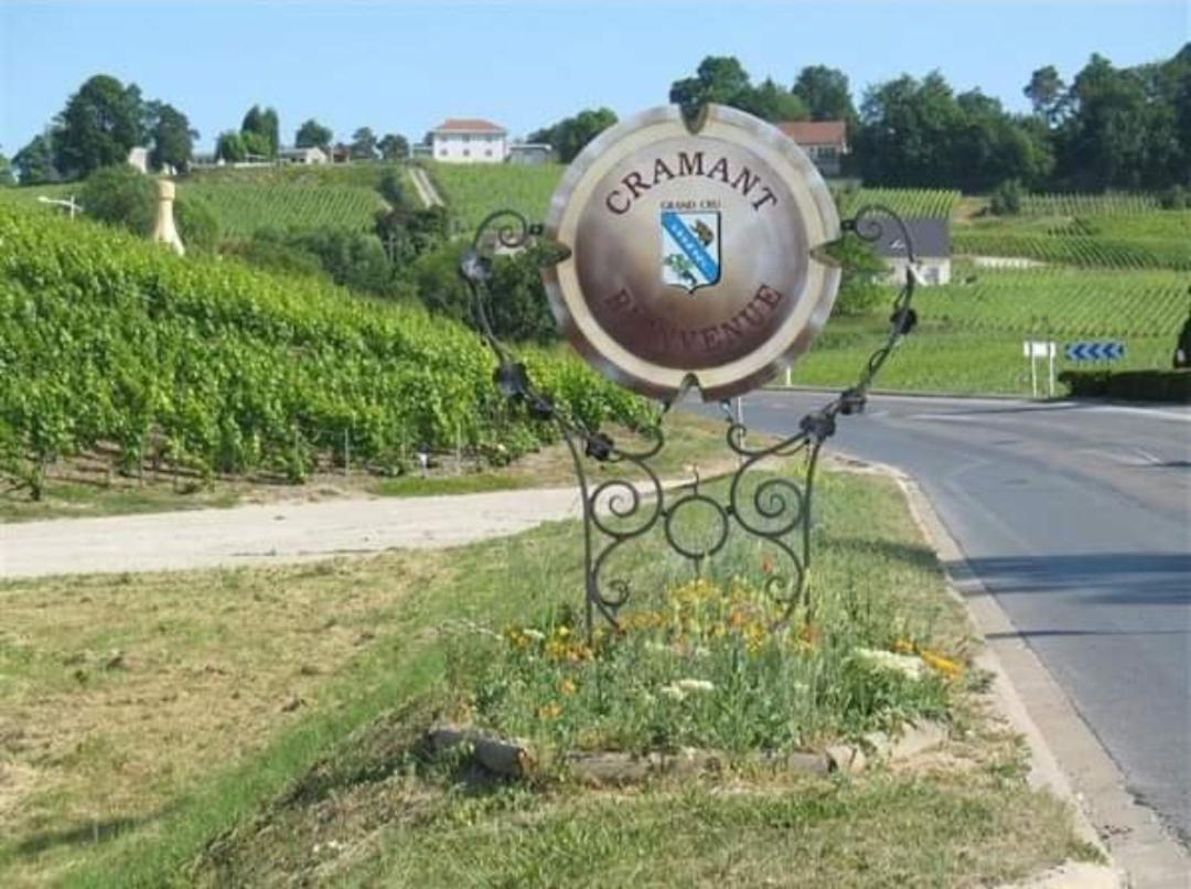 Gite En Champagne Le Sarment Cramant Kültér fotó