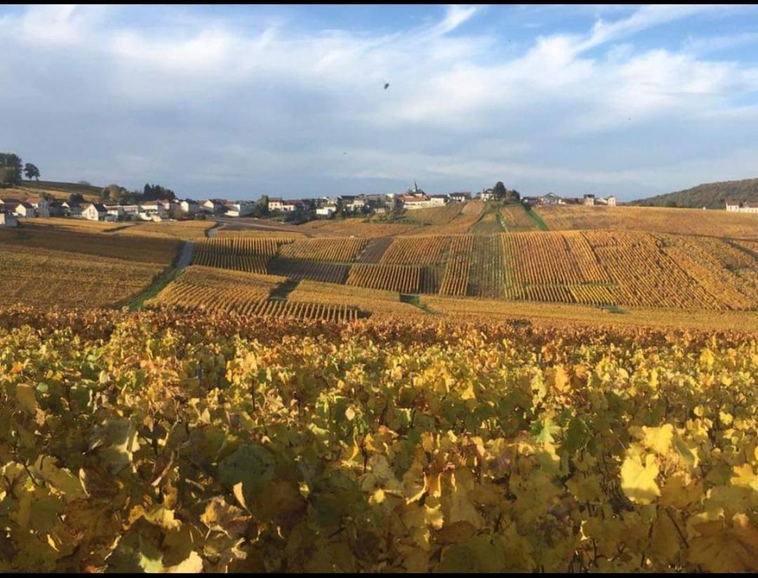 Gite En Champagne Le Sarment Cramant Kültér fotó