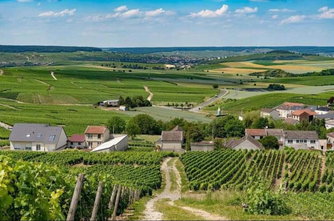 Gite En Champagne Le Sarment Cramant Kültér fotó